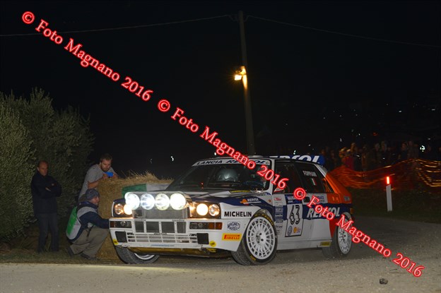 DSC_7783.JPG